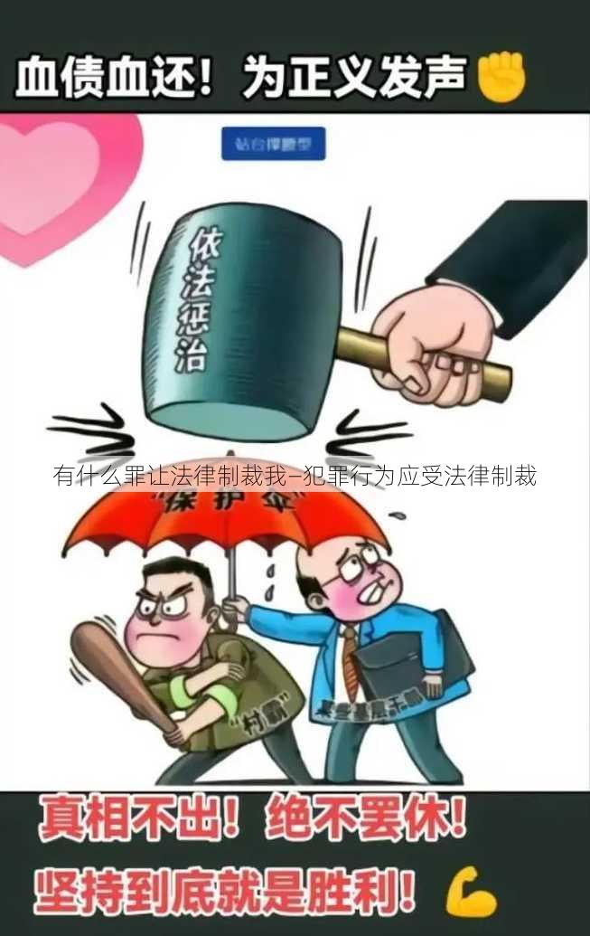 有什么罪让法律制裁我—犯罪行为应受法律制裁