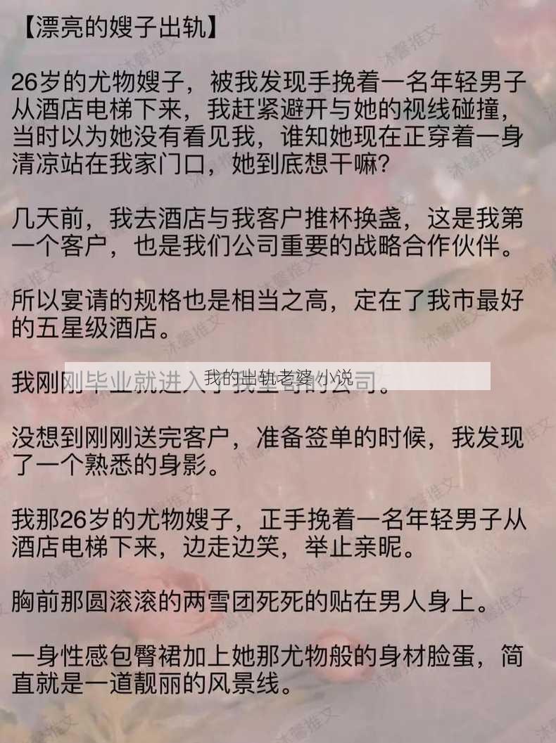 我的出轨老婆 小说