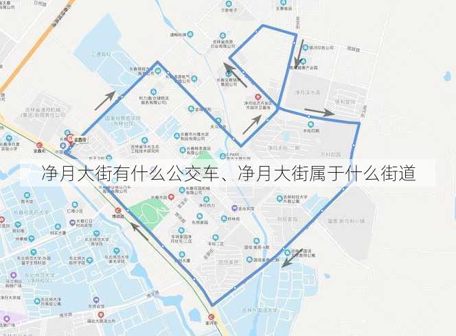 净月大街有什么公交车、净月大街属于什么街道