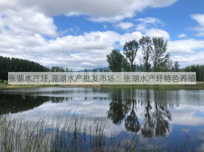 张湖水产圩,滆湖水产批发市场：张湖水产圩特色养殖