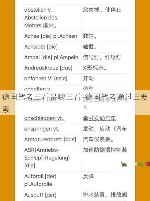 德国驾考三看是哪三看-德国驾考通过三要素