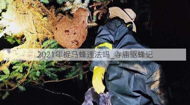 2021年捉马蜂违法吗_寺庙驱蜂记