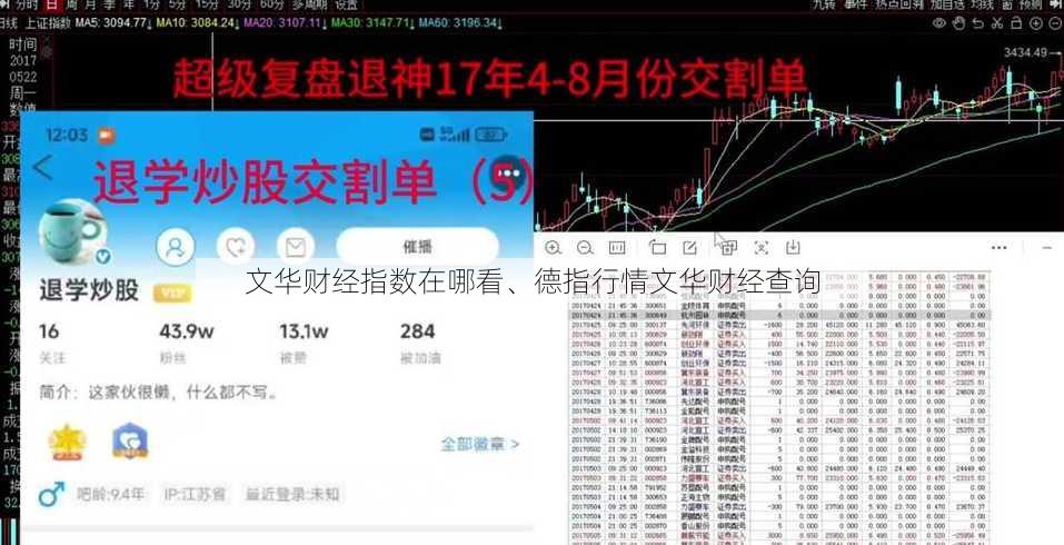 文华财经指数在哪看、德指行情文华财经查询