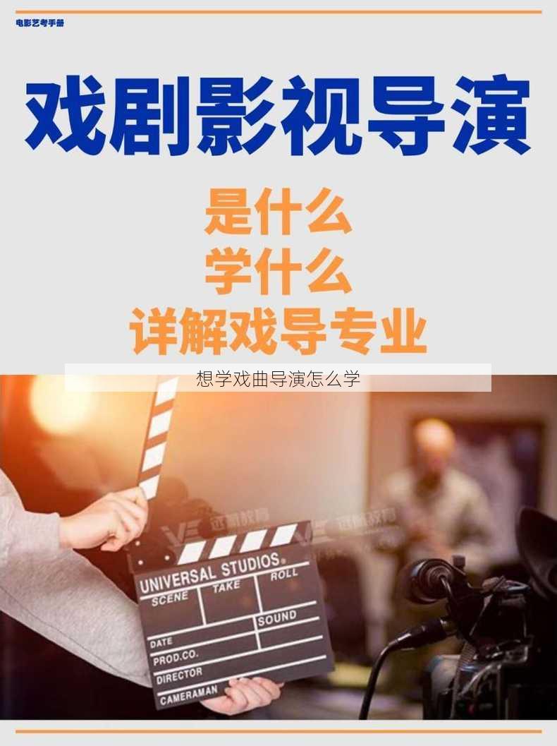 想学戏曲导演怎么学